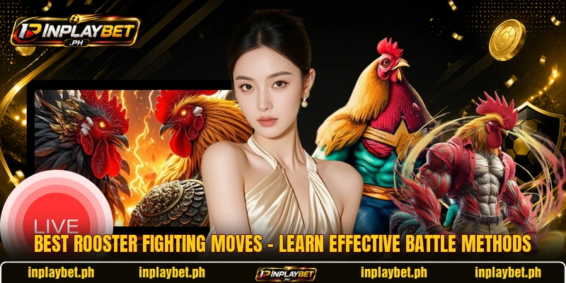 Best Rooster Fighting Moves – Learn Effective Battle Methods