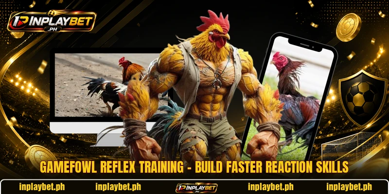 Gamefowl Reflex Training – Build Faster Reaction Skills