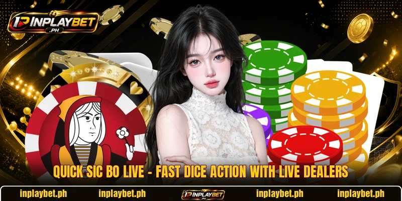 Quick Sic Bo Live – Fast Dice Action With Live Dealers
