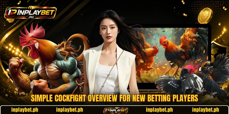 Simple cockfight overview for new betting players Simple cockfight overview for new betting players